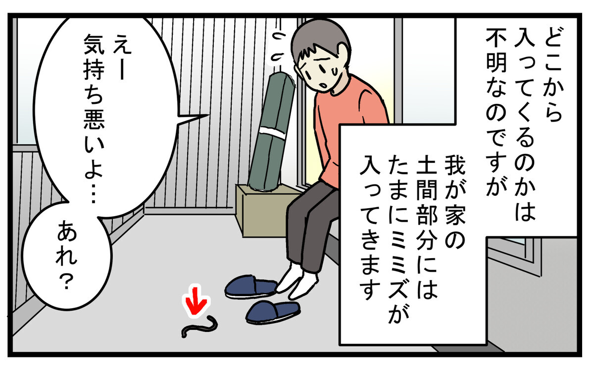 長男が家の土間部分に、ミミズがいるのを見つけました