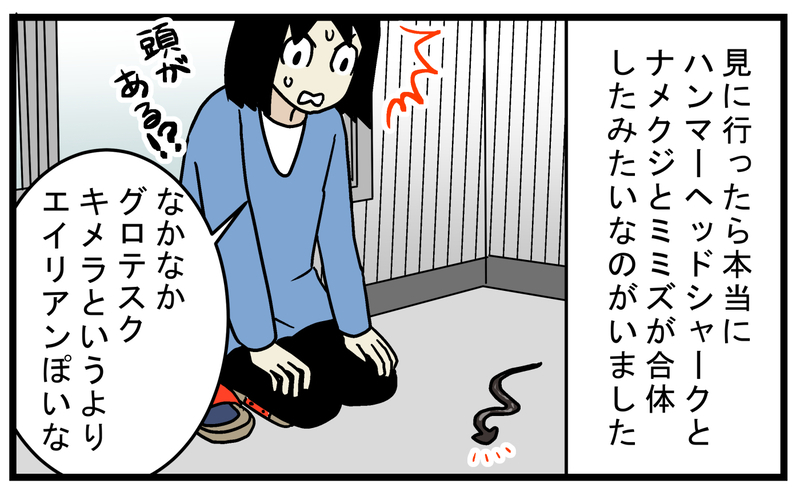 まるでモンスターやエイリアン…家に入ってきた「謎の生き物」が興味深かった【こどもと見つけた小さな発見日誌 Vol.64】