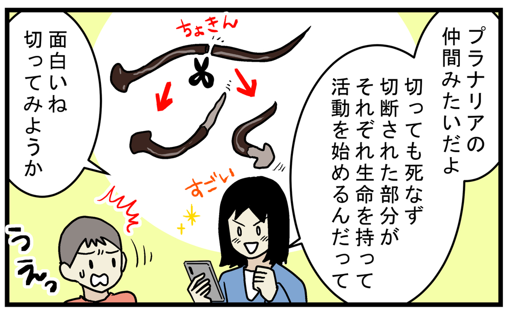 まるでモンスターやエイリアン…家に入ってきた「謎の生き物」が興味深かった【こどもと見つけた小さな発見日誌 Vol.64】