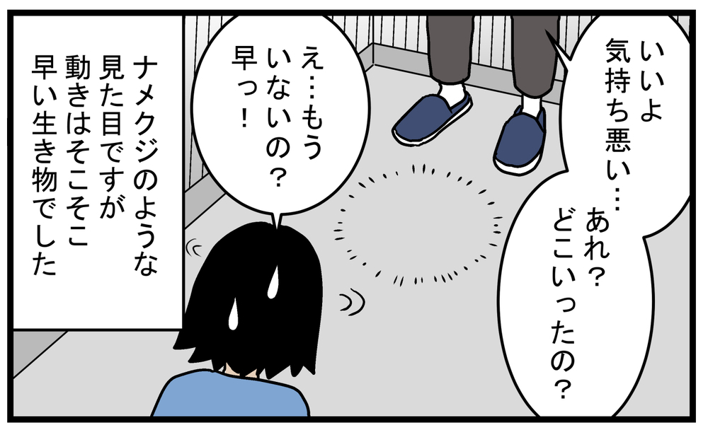 まるでモンスターやエイリアン…家に入ってきた「謎の生き物」が興味深かった【こどもと見つけた小さな発見日誌 Vol.64】