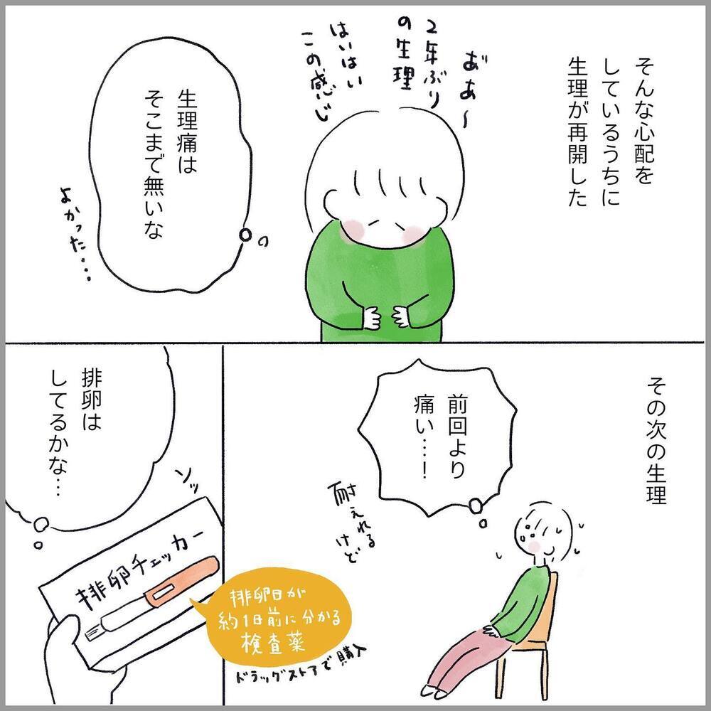 妊活をスタート！ 薬を止めた後、生理痛・排卵の様子は…？【生理痛・卵巣嚢腫破裂がしんどすぎて出産が〇〇だった話 Vol.8】