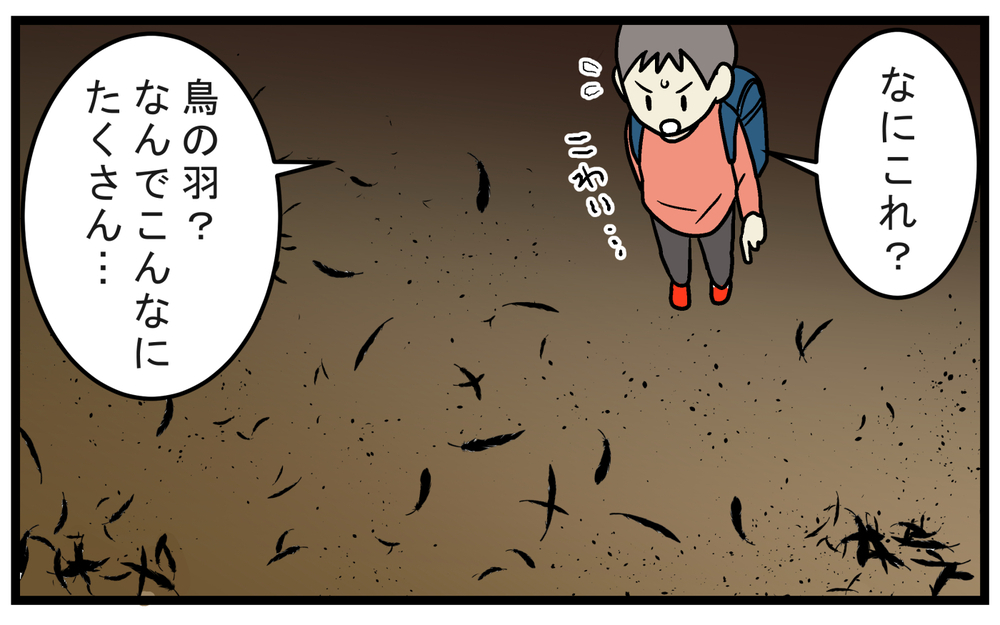 カラスの死骸は幸運を呼び込む？ 試しに宝くじを買った結果…!?【こどもと見つけた小さな発見日誌 Vol.65】