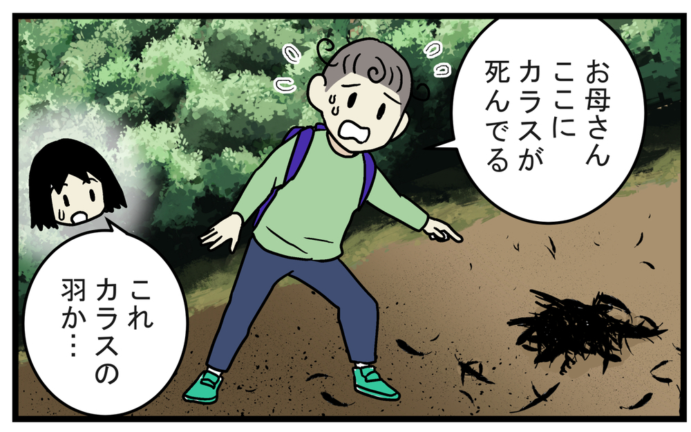 カラスの死骸は幸運を呼び込む？ 試しに宝くじを買った結果…!?【こどもと見つけた小さな発見日誌 Vol.65】