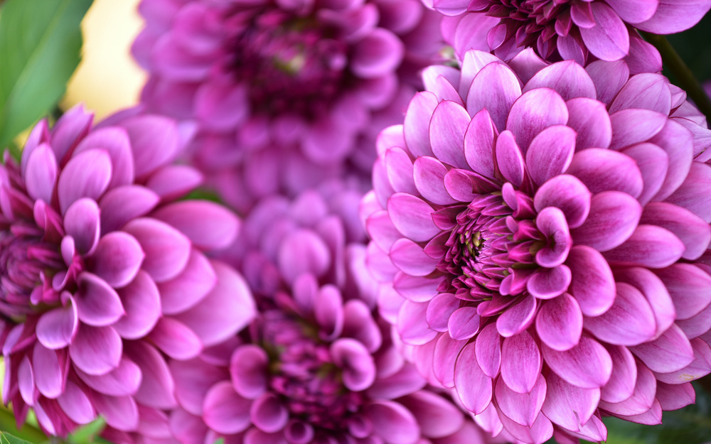 10月2日～10月8日の週間運勢占いランキング！ 1位の星座は…？