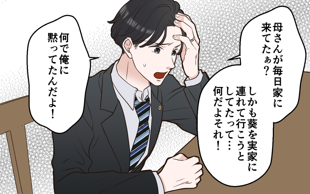 「何で俺に黙ってたんだ！」夫は義母に賛成してなかった!?＜中学受験は誰のため？ 14話＞【私のママ友付き合い事情 まんが】