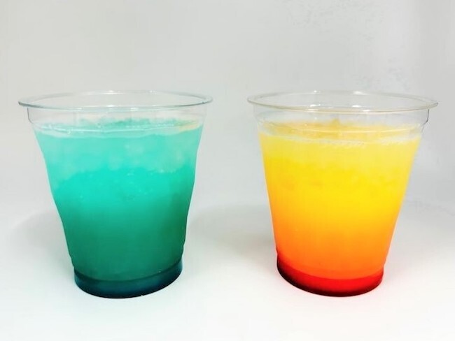 すみだ水族館に新常設展示「オガサワラベース」が誕生！ さかなクンの推しは？【編集部の「これ、気になる！」  Vol.11】