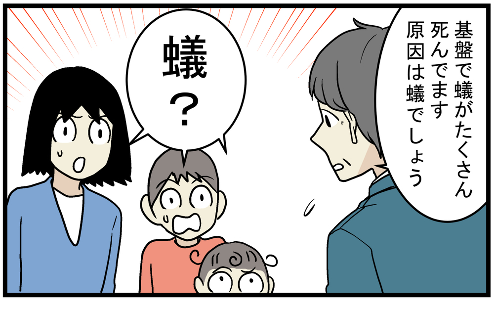 トイレが故障！ 水道業者さんでも見つけられなかった原因はまさかの…!?【こどもと見つけた小さな発見日誌 Vol.66】