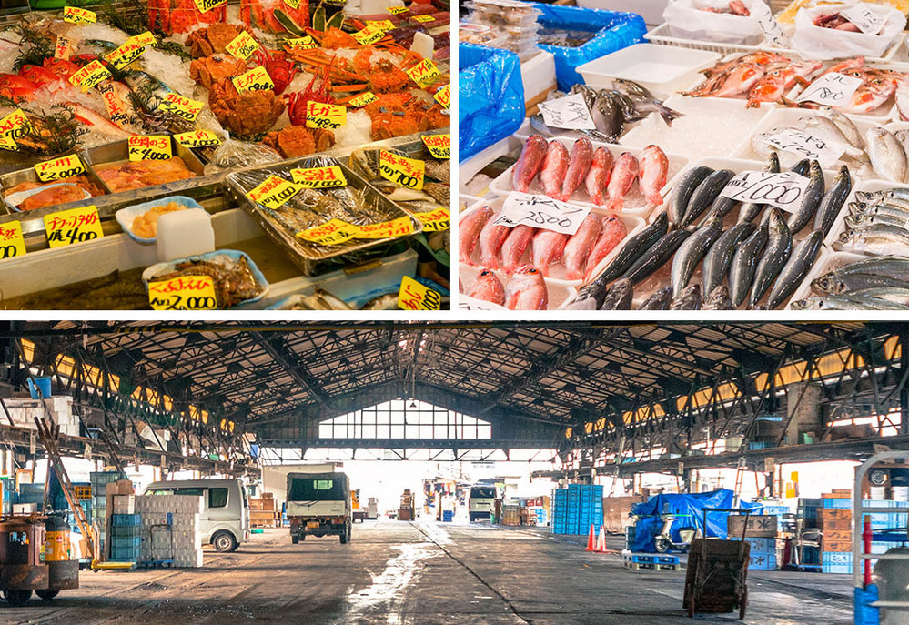 魚に興味をもてば、世界はもっと広がっていく！「おさかな小学校」校長 すーさんに教わる、魚の食育＆SDGs【前編】