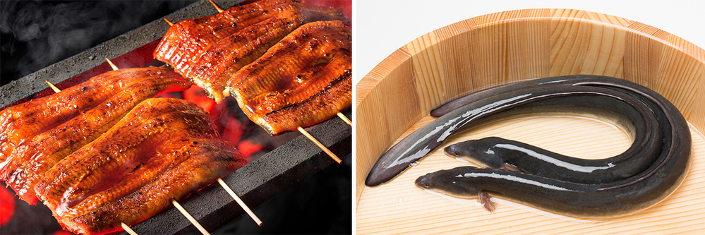 子どもといっしょに魚クイズに挑戦！ 「おさかな小学校」校長 すーさんに教わる、魚の食育＆SDGs【後編】