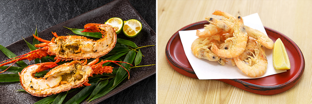 子どもといっしょに魚クイズに挑戦！ 「おさかな小学校」校長 すーさんに教わる、魚の食育＆SDGs【後編】