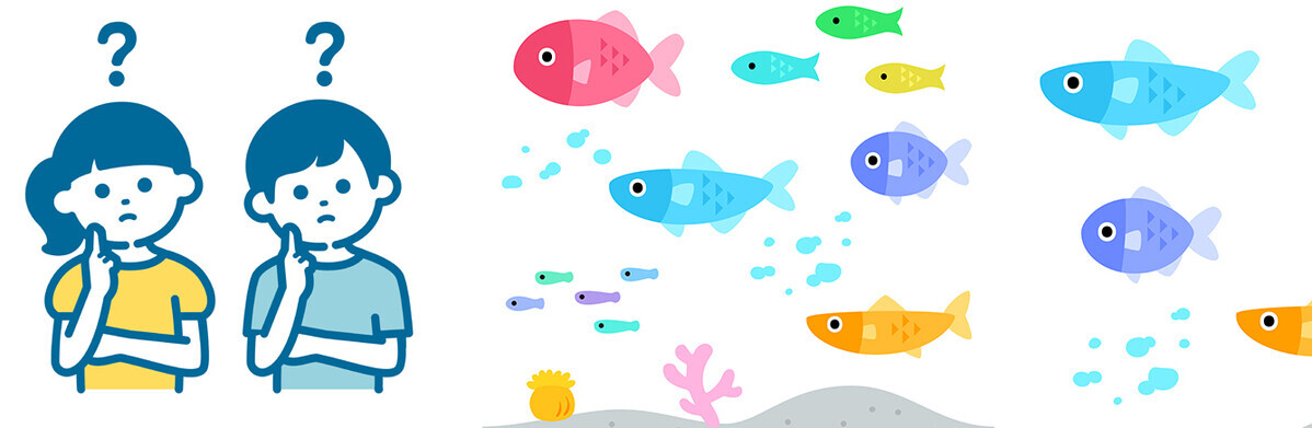 子どもといっしょに魚クイズに挑戦！ 「おさかな小学校」校長 すーさんに教わる、魚の食育＆SDGs【後編】