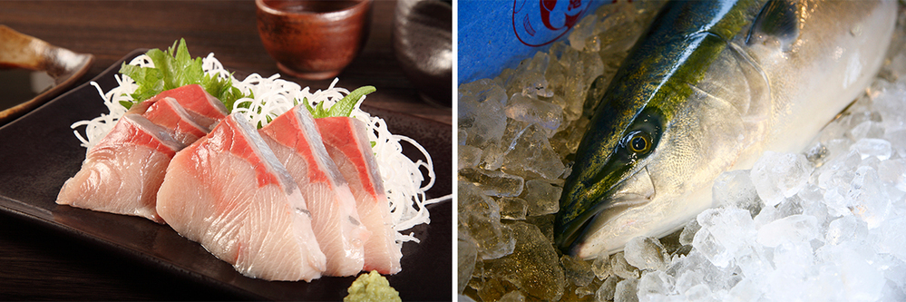 子どもといっしょに魚クイズに挑戦！ 「おさかな小学校」校長 すーさんに教わる、魚の食育＆SDGs【後編】