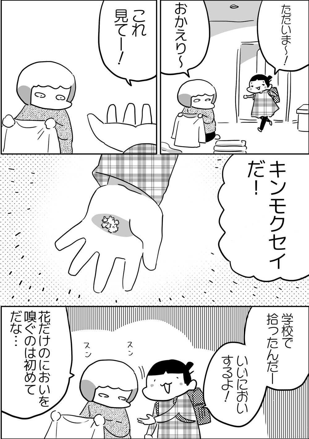 懐かしい～！ 長女が持って帰ってきた植物から広がるノスタルジー【やっぱり家が好き〜おっとぅんとみったんと私〜 第108話】