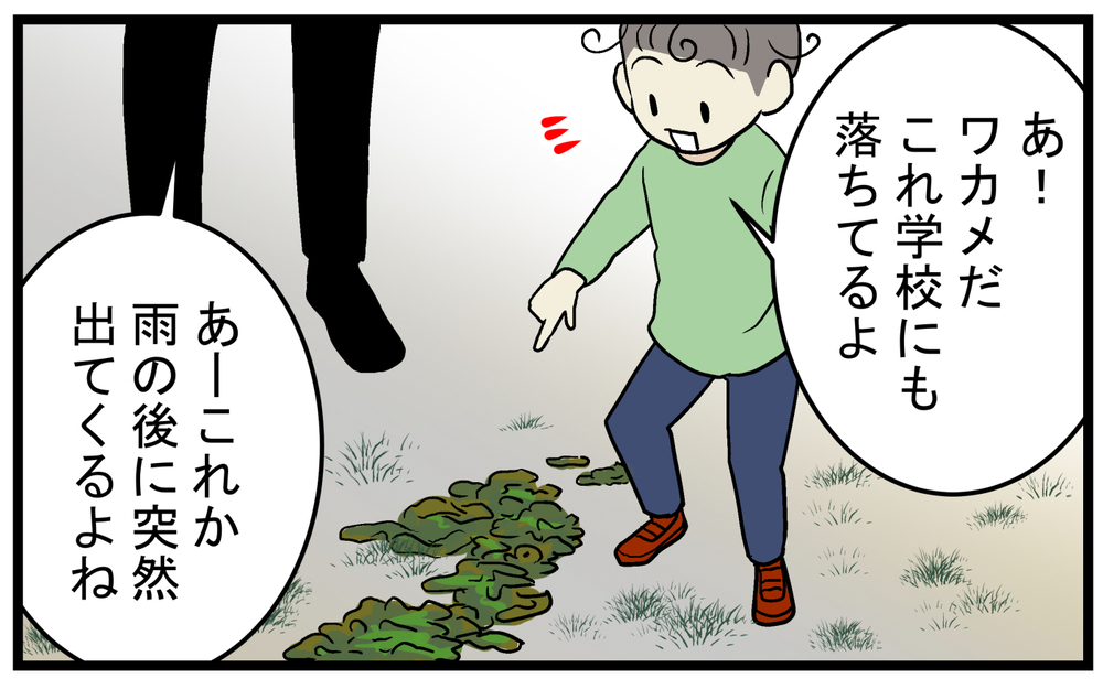 「ワカメ？」「きくらげ？」雨が降ると現れる謎のゼラチン状の物体の正体とは!?【こどもと見つけた小さな発見日誌 Vol.67】