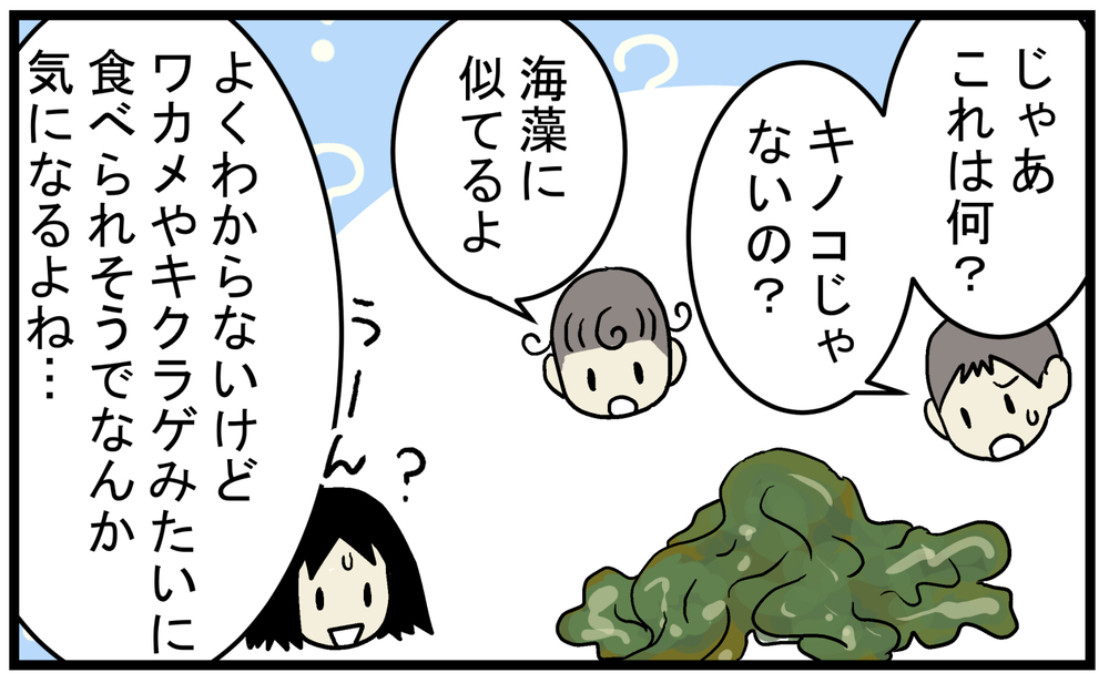 「ワカメ？」「きくらげ？」雨が降ると現れる謎のゼラチン状の物体の正体とは!?【こどもと見つけた小さな発見日誌 Vol.67】