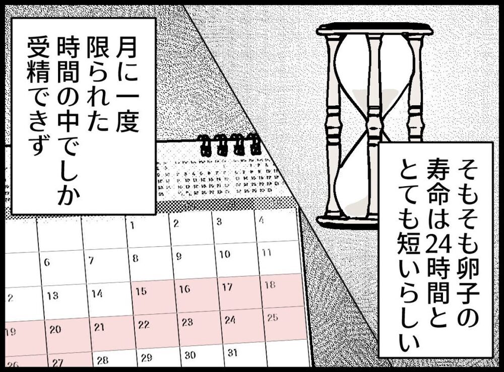 ついに妊活スタート！ まずは1年頑張るはずが…正直しんどい!?【僕たちは親になりたい Vol.15】