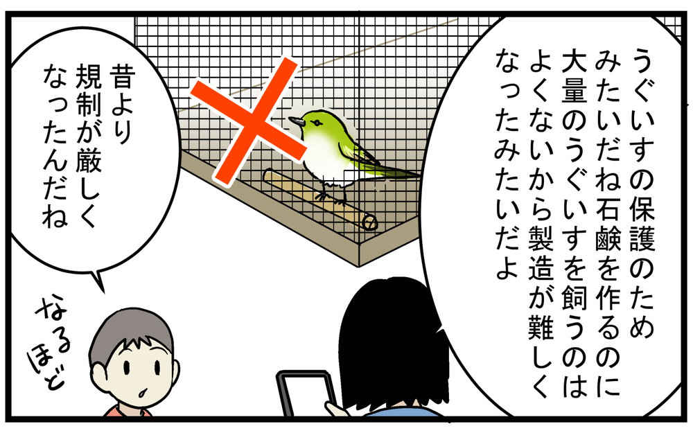 美容効果も期待できる!? 昔聞いた「うぐいすのフンの石鹸」とは？【こどもと見つけた小さな発見日誌 Vol.68】
