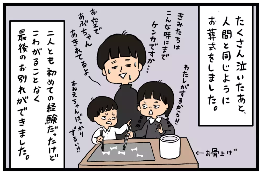 突然おとずれた愛犬との別れ　ペットロスぎみの母の気持ちを変えた娘の一言とは？【うちはモフモフ暮らし  第64話】