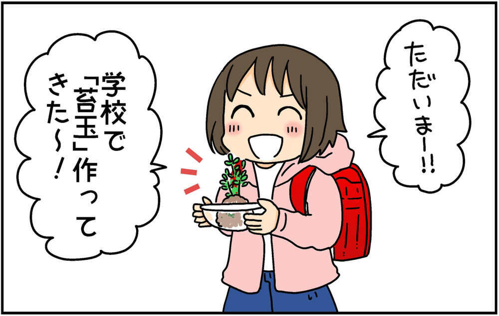 授業で苔玉を作ってきた次女　自宅で育てていたら想定外の姿に…!?【4人の子ども育ててます 第140話】