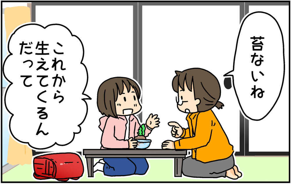 授業で苔玉を作ってきた次女　自宅で育てていたら想定外の姿に…!?【4人の子ども育ててます 第140話】