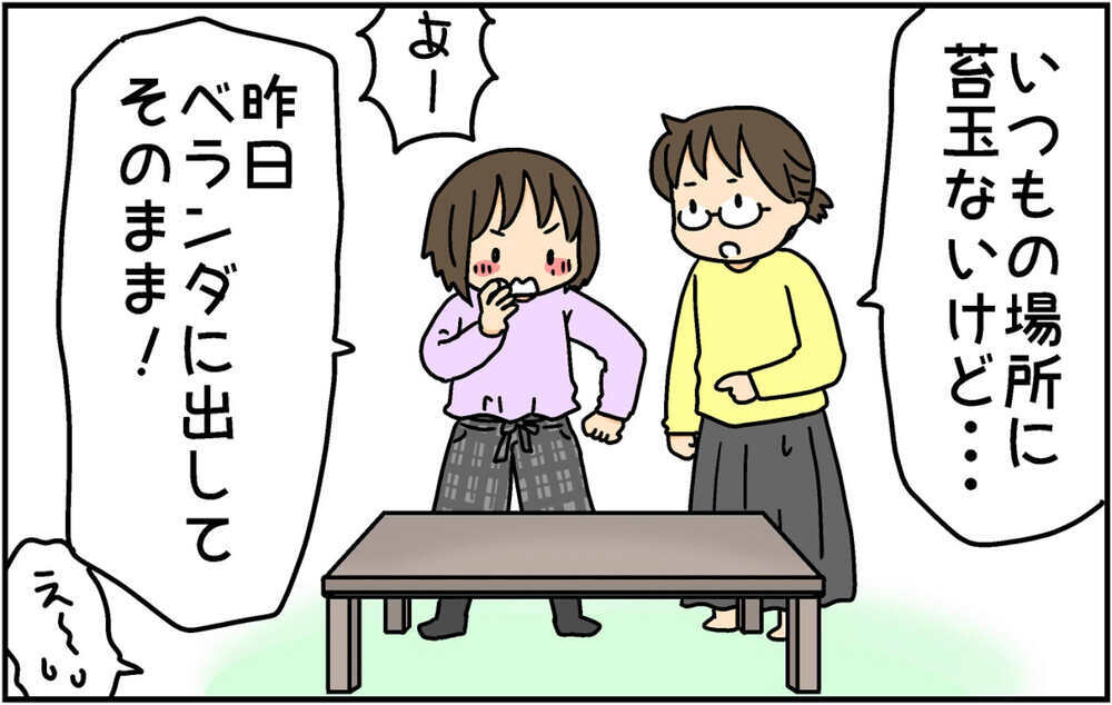 授業で苔玉を作ってきた次女　自宅で育てていたら想定外の姿に…!?【4人の子ども育ててます 第140話】