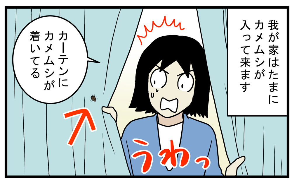 本当に臭い？ 強烈な悪臭で知られる「カメムシ」の匂いを感じたことがない私【こどもと見つけた小さな発見日誌 Vol.69】