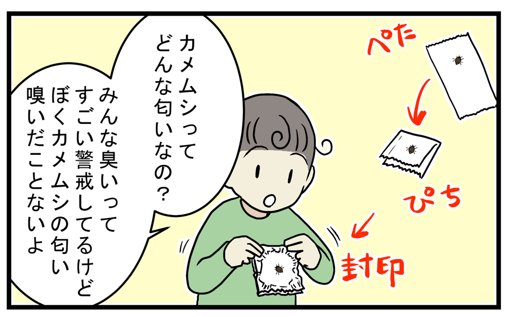 本当に臭い？ 強烈な悪臭で知られる「カメムシ」の匂いを感じたことがない私【こどもと見つけた小さな発見日誌 Vol.69】