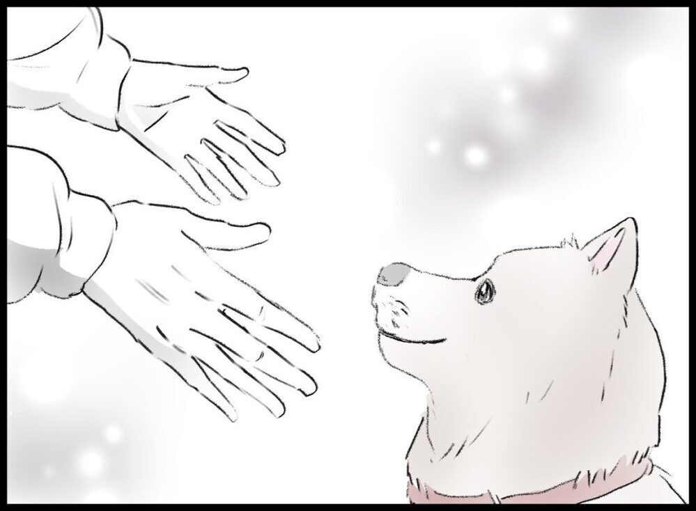 「頼んだよ」 かつての飼い犬に我が子を託して…【僕たちは親になりたい Vol.58】