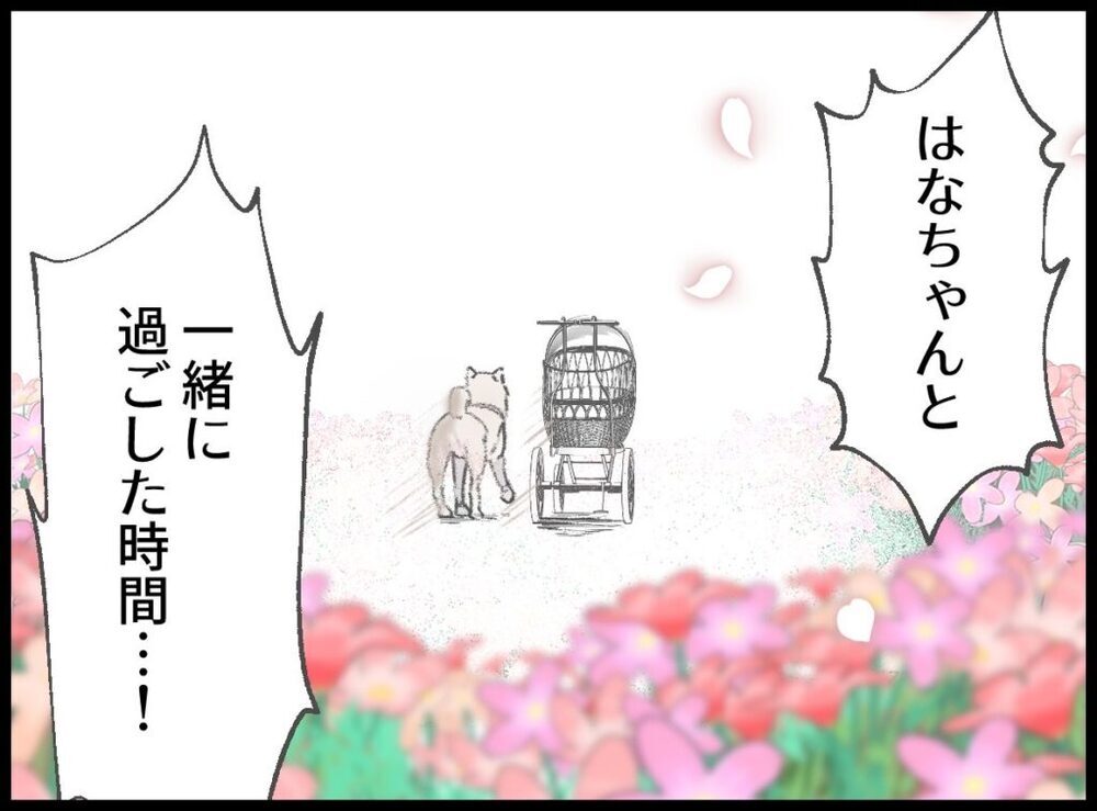 ついに花ちゃんはお空へ…！ 妻から我が子へ贈るメッセージ【僕たちは親になりたい Vol.59】