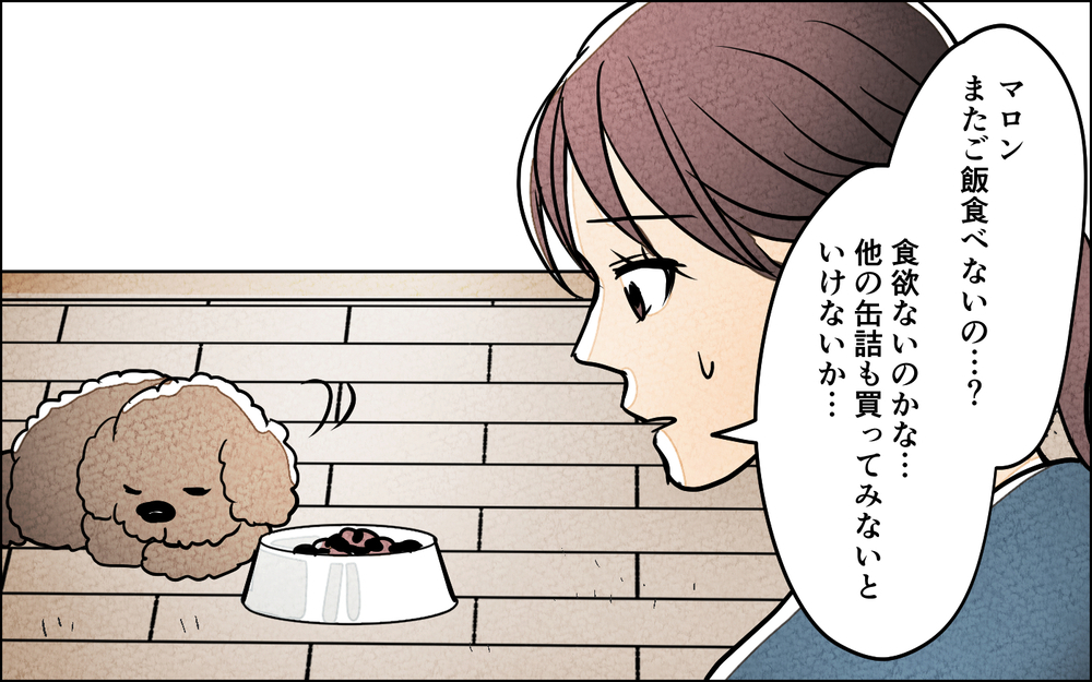 育児と介護をワンオペで見ることに！しかし夫は手伝ってくれなくて…【夫に湿布を貼りたくない Vol.10】まんが