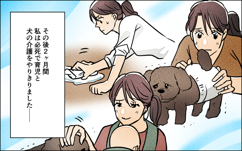 壮絶な介護の末に見えた夫の「無関心」…この人と連れ添う自信がない【夫に湿布を貼りたくない Vol.11】まんが