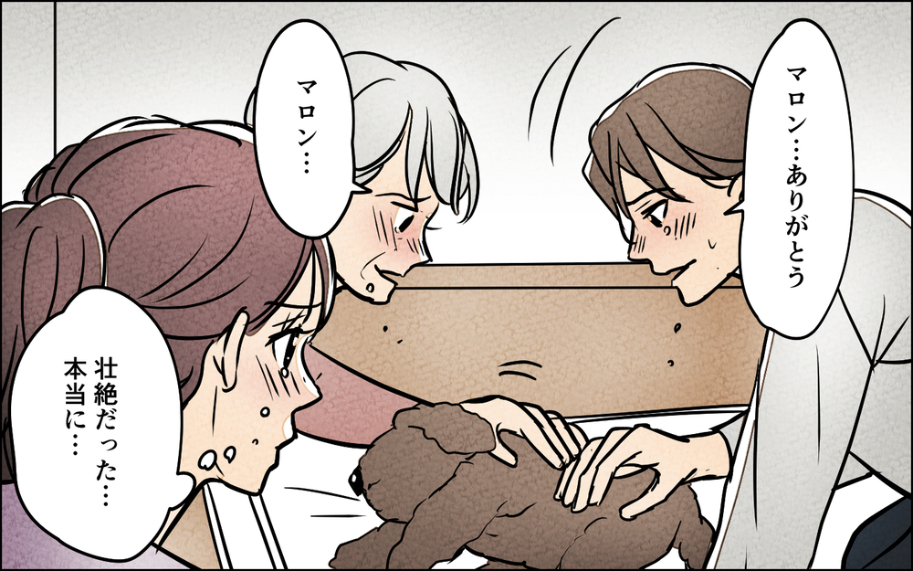 壮絶な介護の末に見えた夫の「無関心」…この人と連れ添う自信がない【夫に湿布を貼りたくない Vol.11】まんが