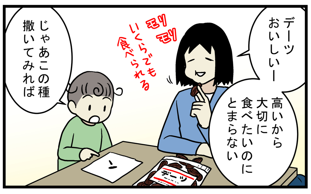 ドライフルーツの「デーツの種」は発芽する？ 調べてみた結果、想像以上の事実が発覚！【こどもと見つけた小さな発見日誌 Vol.70】
