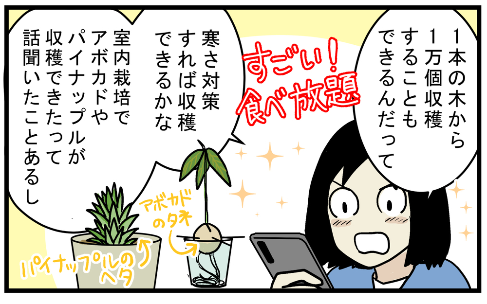 ドライフルーツの「デーツの種」は発芽する？ 調べてみた結果、想像以上の事実が発覚！【こどもと見つけた小さな発見日誌 Vol.70】