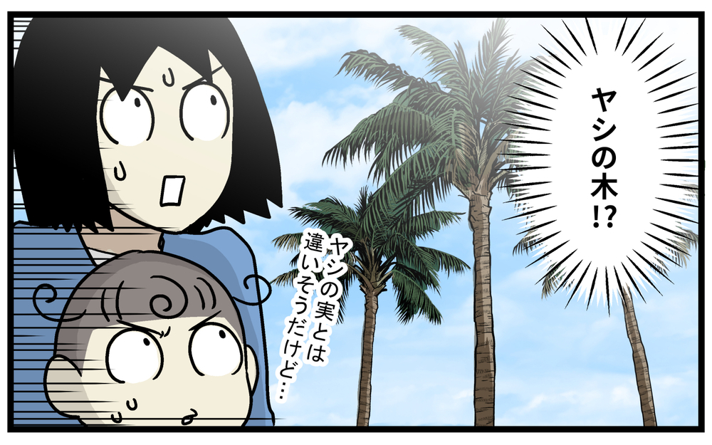 ドライフルーツの「デーツの種」は発芽する？ 調べてみた結果、想像以上の事実が発覚！【こどもと見つけた小さな発見日誌 Vol.70】