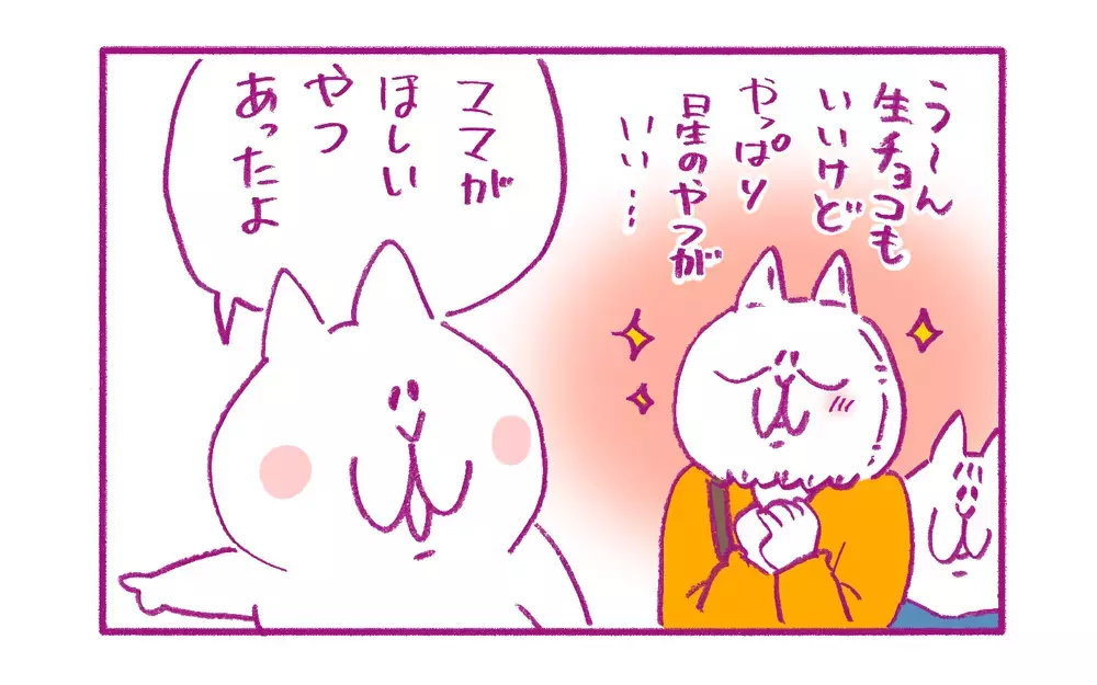 チョコ好きの私のバレンタインデー！ 今年購入したのは芸術作品と言っても良い一品【もちもちエプリデイ】  Vol.80