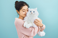 ほんとは猫と暮らしたい…そんな夢が叶うかも！？　リアルなもふもふキャットロボット「KIMIT（キミット）」