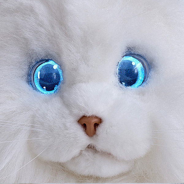 ほんとは猫と暮らしたい…そんな夢が叶うかも！？　リアルなもふもふキャットロボット「KIMIT（キミット）」【編集部の「これ、気になる！」  Vol.26】