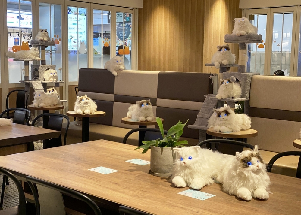 ほんとは猫と暮らしたい…そんな夢が叶うかも！？　リアルなもふもふキャットロボット「KIMIT（キミット）」【編集部の「これ、気になる！」  Vol.26】