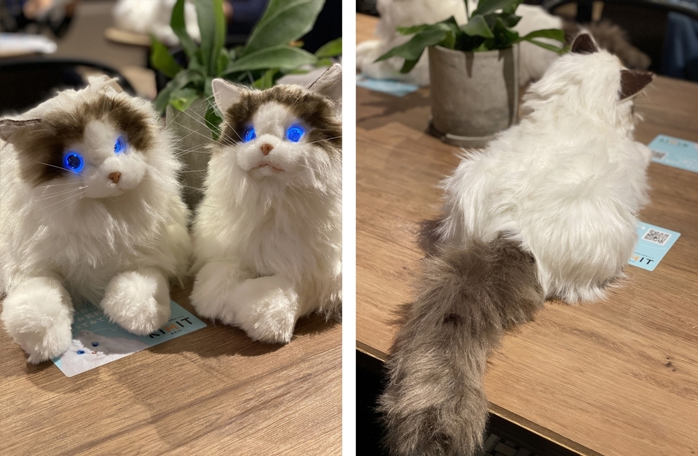 ほんとは猫と暮らしたい…そんな夢が叶うかも！？　リアルなもふもふキャットロボット「KIMIT（キミット）」【編集部の「これ、気になる！」  Vol.26】
