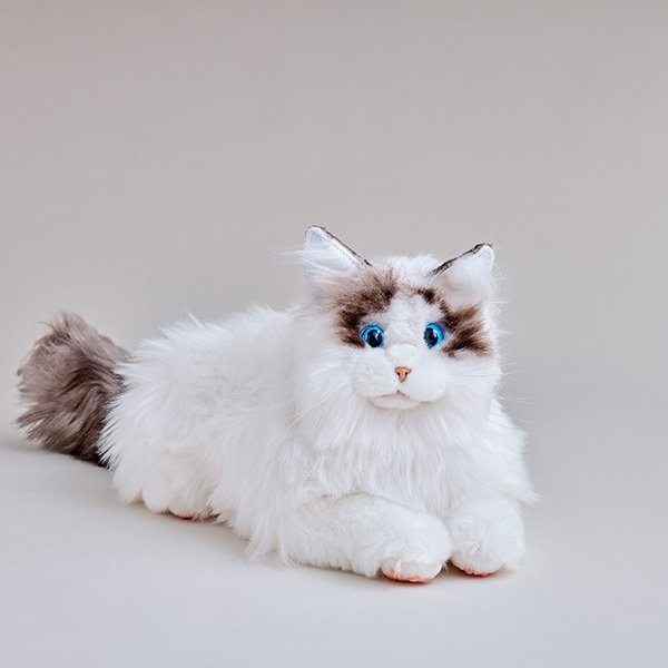 ほんとは猫と暮らしたい…そんな夢が叶うかも！？　リアルなもふもふキャットロボット「KIMIT（キミット）」【編集部の「これ、気になる！」  Vol.26】