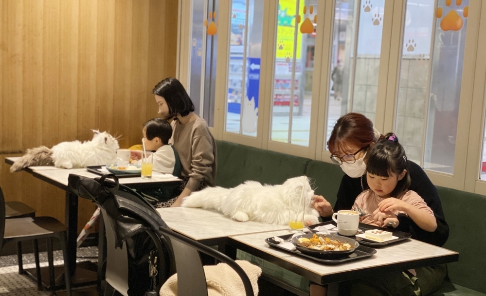 ほんとは猫と暮らしたい…そんな夢が叶うかも！？　リアルなもふもふキャットロボット「KIMIT（キミット）」【編集部の「これ、気になる！」  Vol.26】