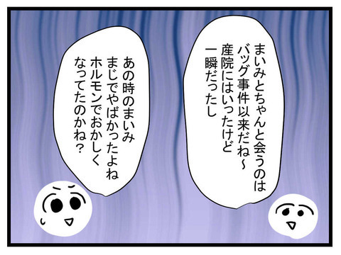まいみに会うのはバッグ事件以来…またおかしくなったらどうする？【セレブ婚で変わってしまった親友 Vol.22】