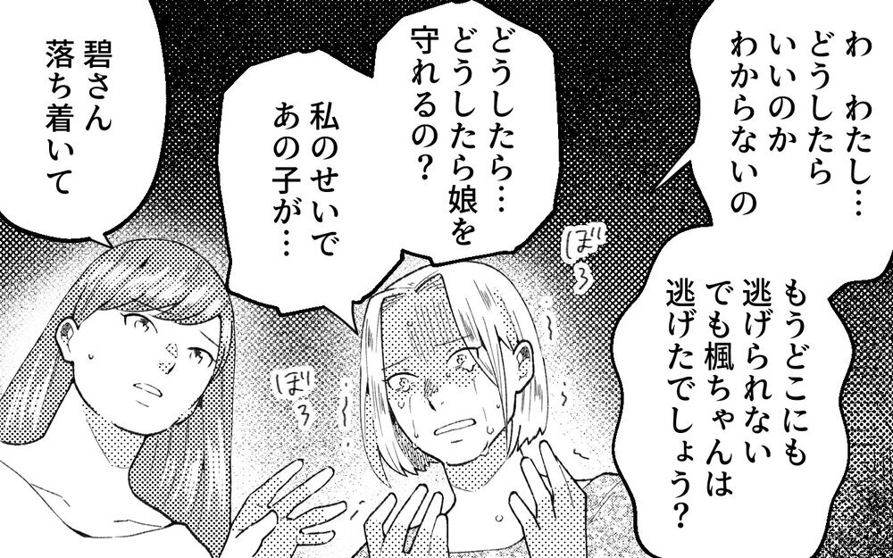 元夫はシングルマザー狙い!? 借金癖に他に女まで…クズすぎる男から逃げられるのか＜真の場合 14話＞【モラハラ夫図鑑 まんが】