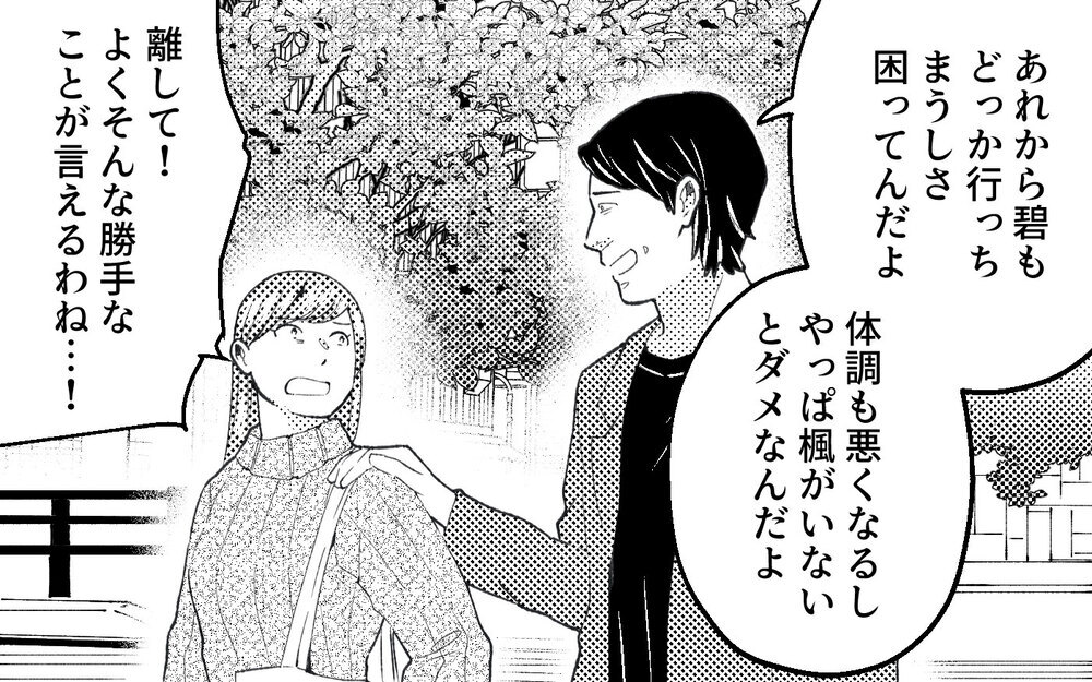 「前みたいに借金返してくれよ」突然現れた元夫の勝手すぎる言い分＜真の場合 15話＞【モラハラ夫図鑑 まんが】