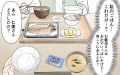 私のご飯これだけ!? 明らかに態度が違う義母…しかし夫が帰ってくると…？＜裏表がある義母 2話＞