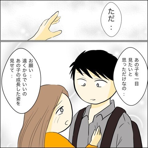 ゆかりに子どもは会わせない…元夫が断固拒否する衝撃の理由とは？【兄の連れてきた婚約者は… Vol.46】