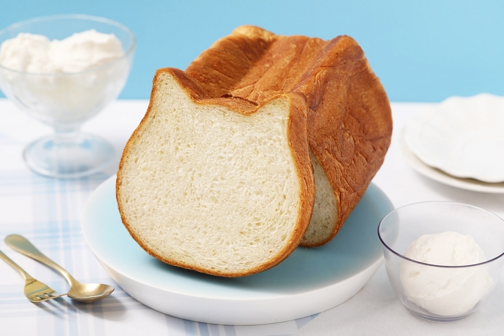 あの人気食パンから、初夏にぴったりな新商品「ねこねこ食パン　フローズンヨーグルト」が登場！【編集部の「これ、気になる！」  Vol.45】