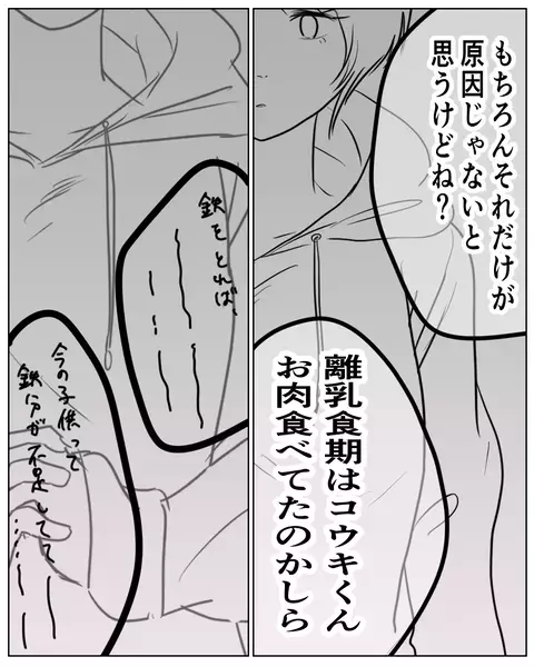 息子は鉄分不足…!? ママ友の知識の押し付けに違和感【いきすぎた自然派ママがこわい  Vol.11】