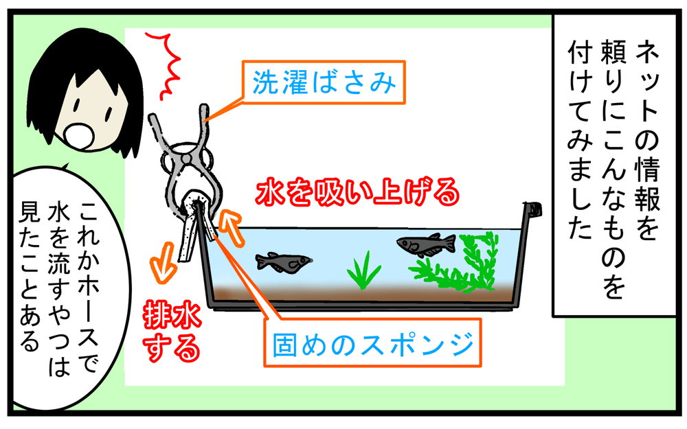 外でメダカや金魚を飼っている人、必見！ 「ビオトープ」の水を身近なもので簡単に減らす方法【こどもと見つけた小さな発見日誌 Vol.72】